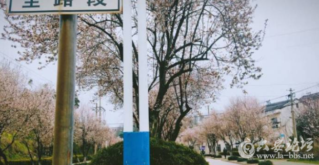QQ截图20180318092822.png