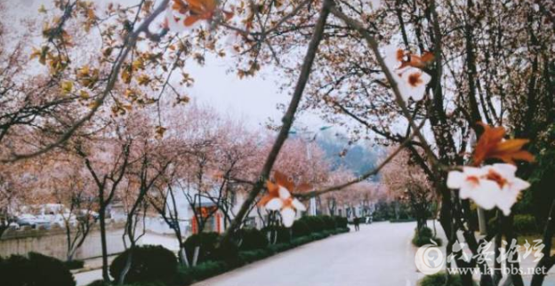 QQ截图20180318092830.png