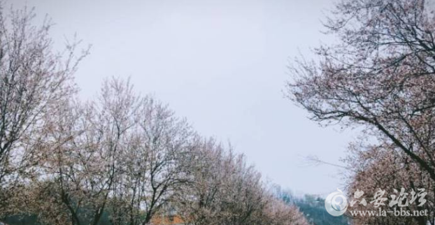 QQ截图20180318092847.png
