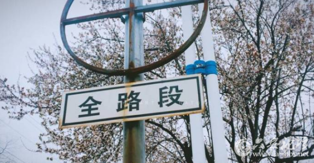 QQ截图20180318092903.png