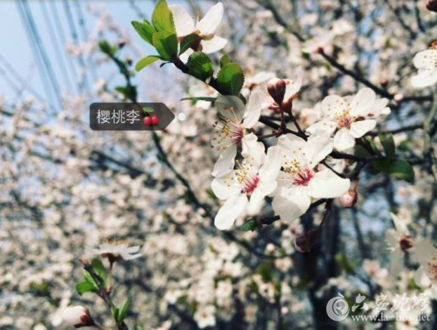 QQ截图20180318092918.png