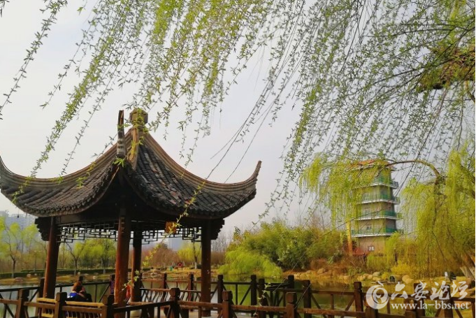 QQ截图20180319085354.png