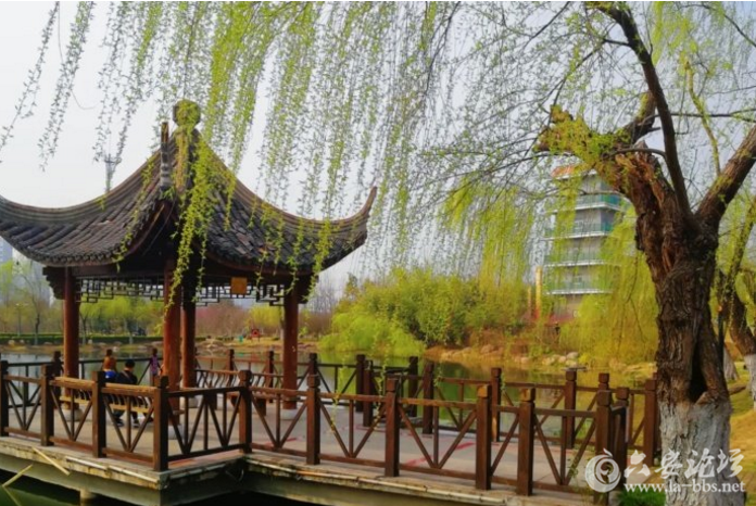 QQ截图20180319085400.png