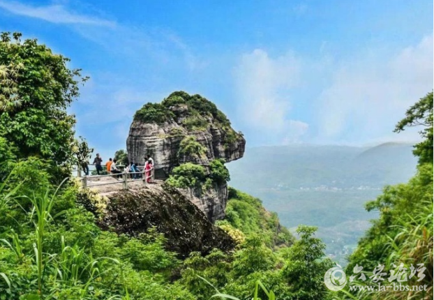 QQ截图20180320101724.png