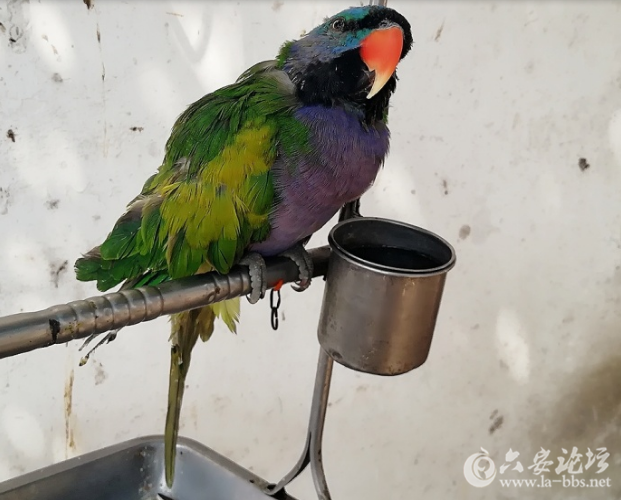 QQ截图20180320115413.png