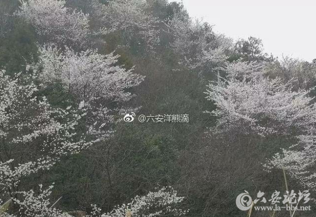 QQ截图20180320135832.png