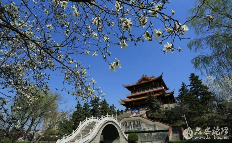 QQ截图20180321090631.png