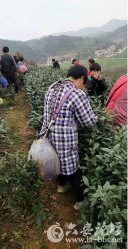 QQ截图20180321092101.png