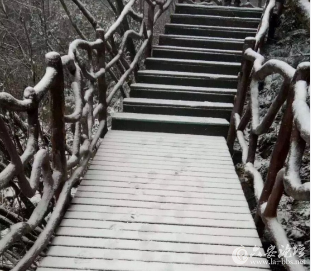 QQ截图20180321100847.png