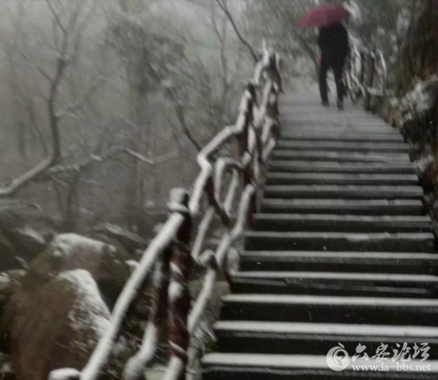 QQ截图20180321100903.png