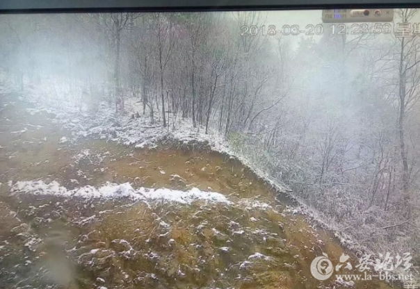 QQ截图20180321100924.png
