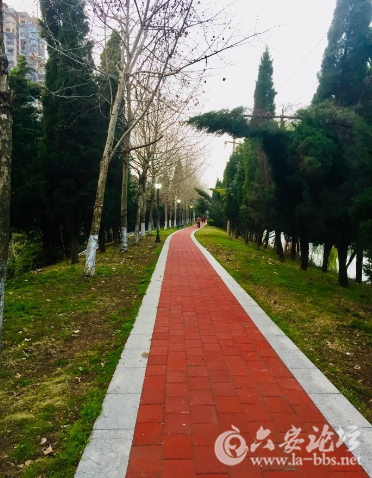QQ截图20180323090604.png