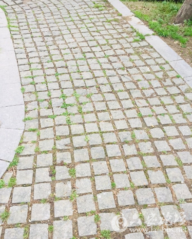 QQ截图20180323090627.png