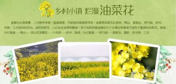 QQ截图20180323095359.png