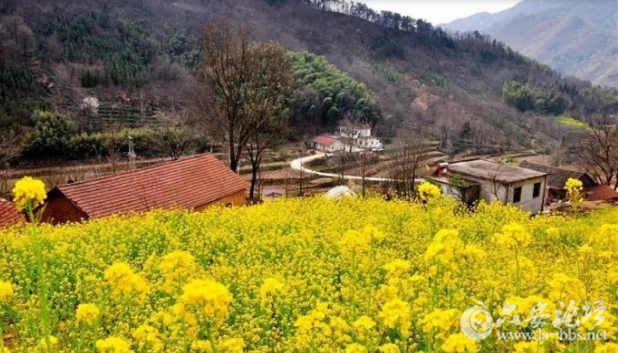 QQ截图20180323095406.png