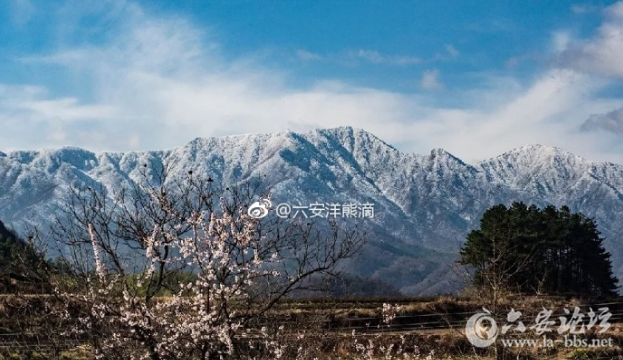 QQ截图20180323103811.png