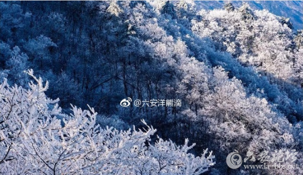 QQ截图20180323103816.png