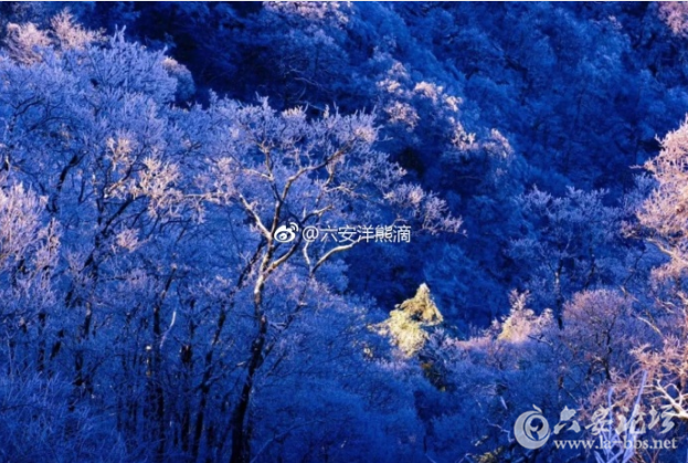 QQ截图20180323103824.png