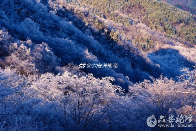 QQ截图20180323103832.png