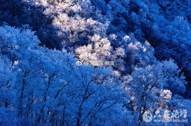 QQ截图20180323103838.png