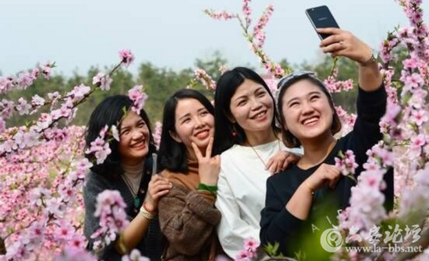 QQ截图20180326094103.png