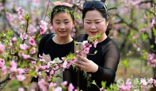 QQ截图20180326094116.png