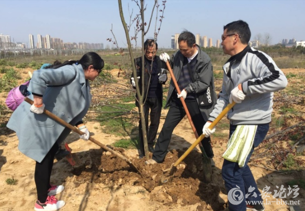 QQ截图20180326102712.png