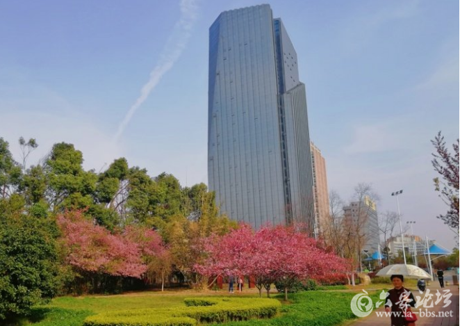 QQ截图20180327090349.png