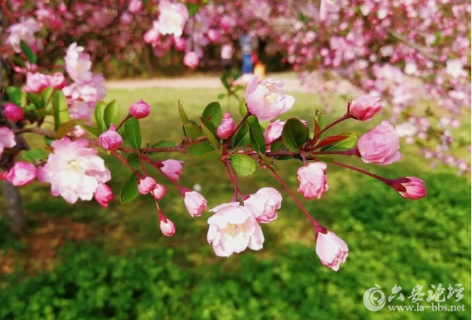 QQ截图20180327090355.png