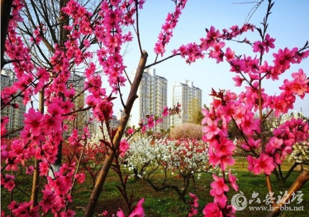 QQ截图20180327114303.png