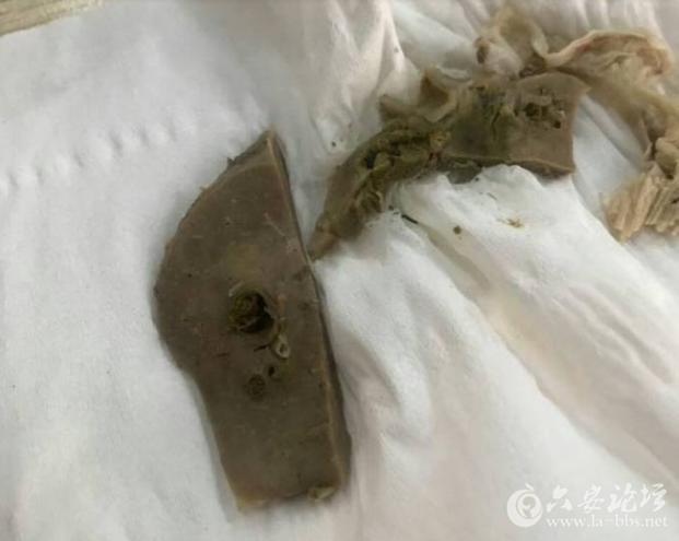 QQ截图20180402083240.png