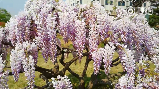 QQ截图20180402095932.png