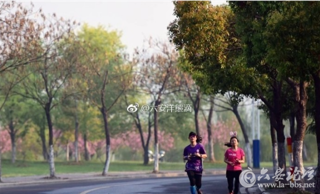 QQ截图20180402100434.png
