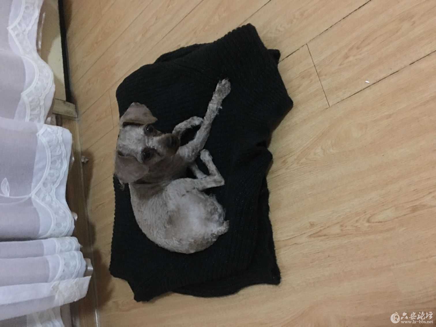 QQ图片20180404105817.jpg