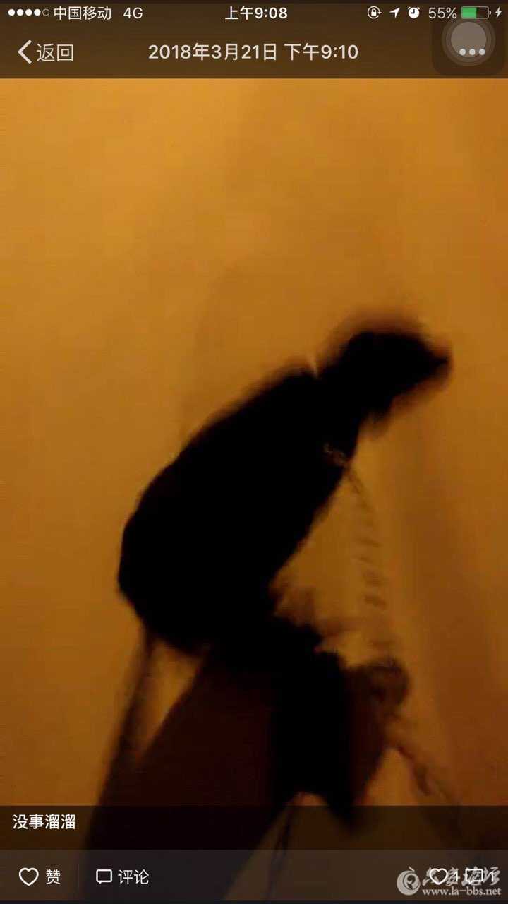 201804112658711523409019531127.jpg
