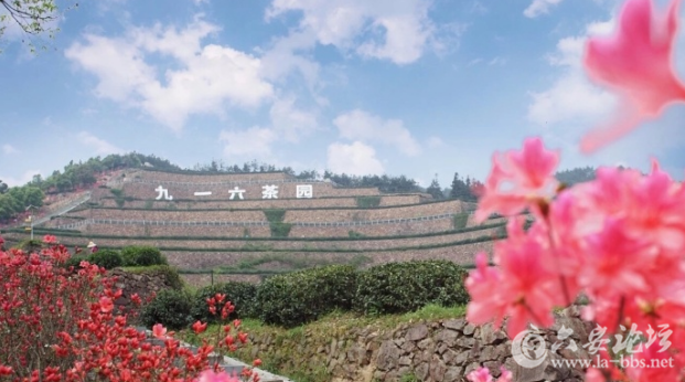 QQ截图20180411114422.png