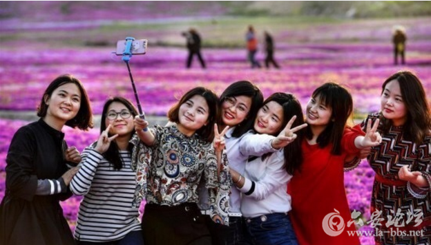 QQ截图20180411144302.png