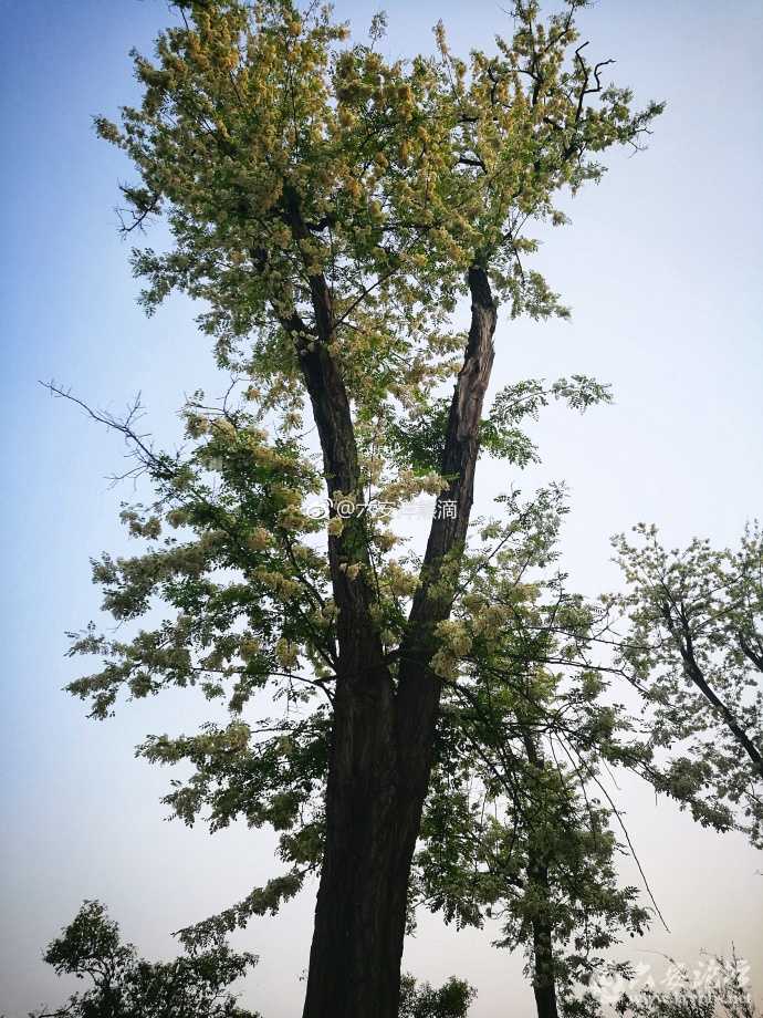 88.jpg