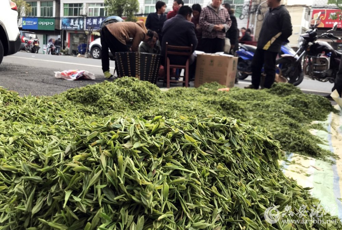 QQ截图20180413093608.png