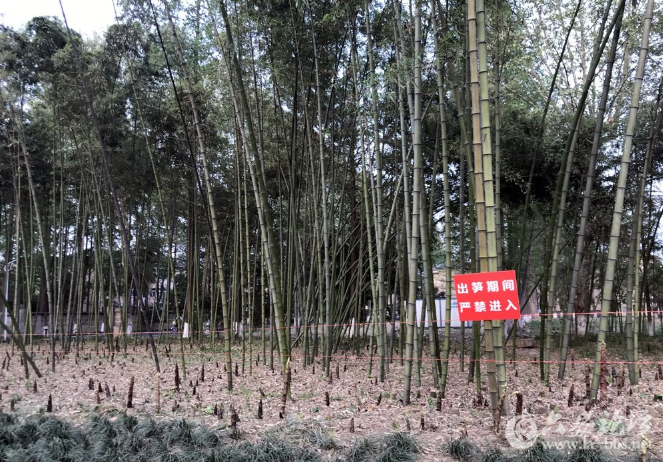 QQ截图20180416085655.png