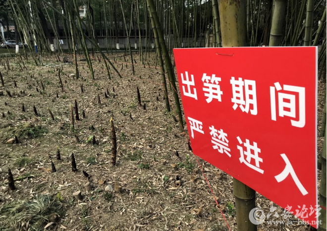 QQ截图20180416085707.png