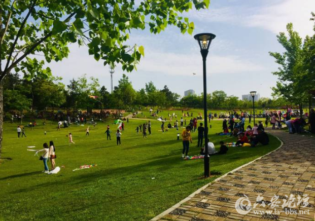 QQ截图20180417085232.png
