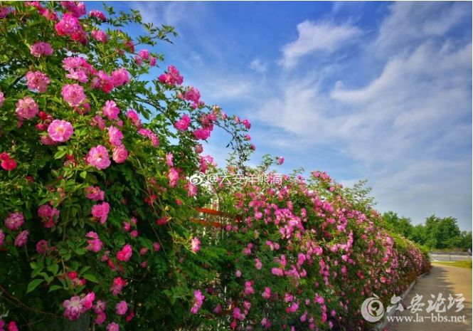 QQ截图20180420085101.png