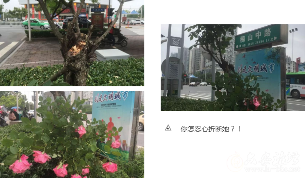 QQ截图20180425092653.png QQ截图20180425092653.png