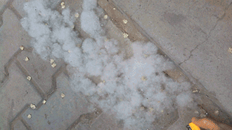 4.gif