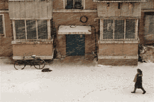 22.gif