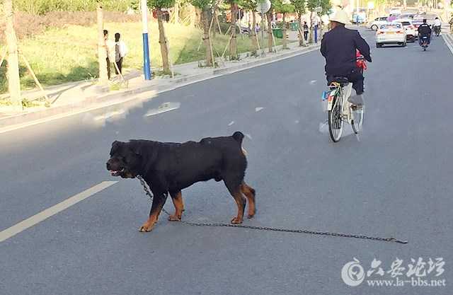 084951l26xtyfwuygf6oqi_副本.jpg