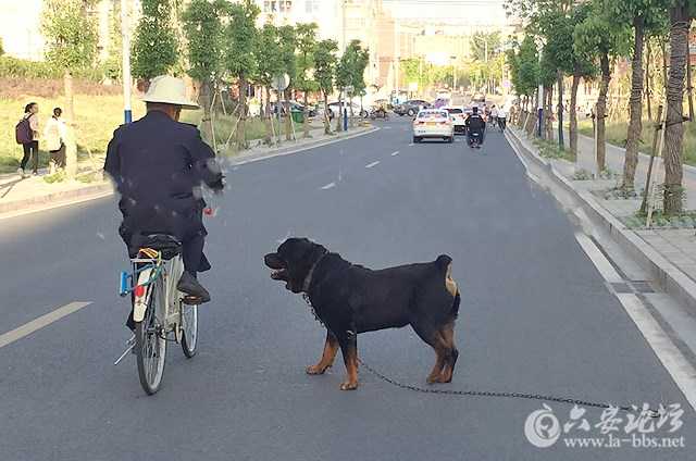 084955qoex9dw33ndevk9d_副本.jpg
