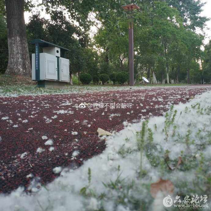 084951l26xtyfwuygf6oqi_副本.jpg