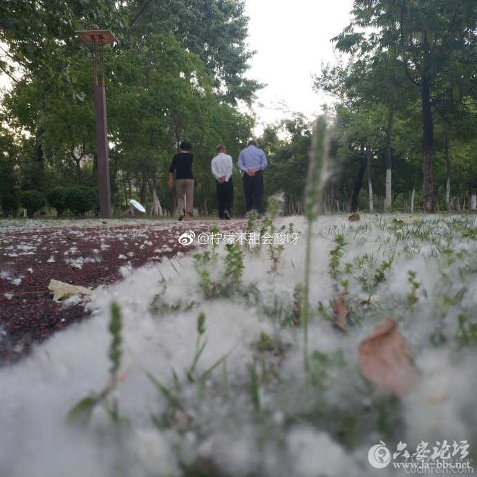 084955qoex9dw33ndevk9d_副本.jpg